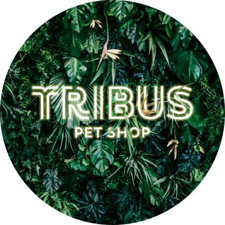 Tribus Pet Shop & Vet Clinic <sup>DESIGN</sup> BRANDING <sup>BRONZE — PRÉMIOS LUSÓFONOS DA CRIATIVIDADE</sup>